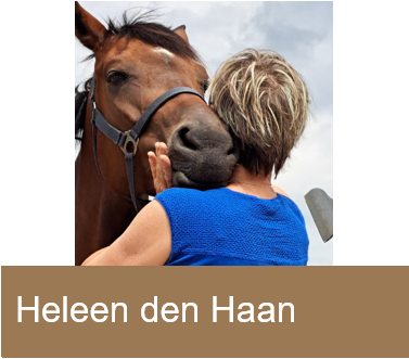 Heleen den Haan MMCP